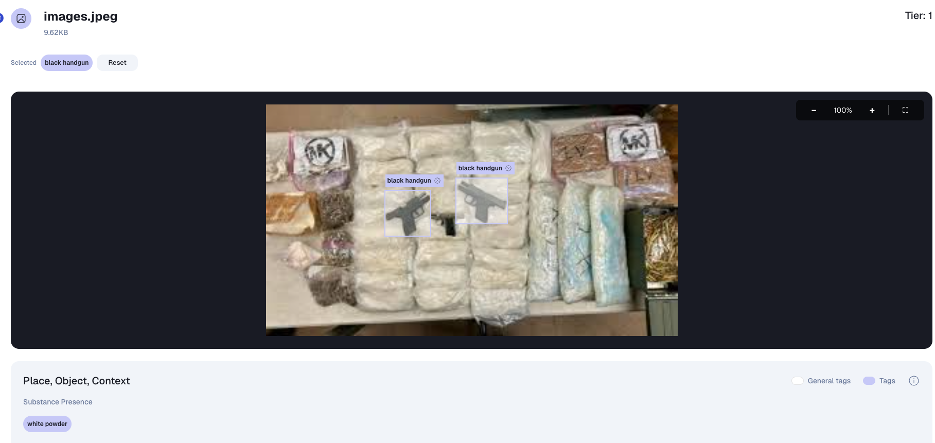 ShieldView Photo Analysis